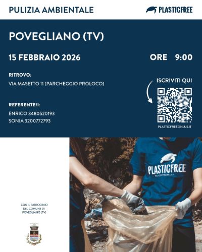 WhatsApp Image 2026-02-11 at 13.26.00