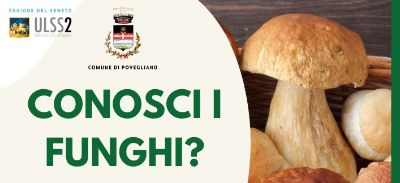 banner Povegliano locandina