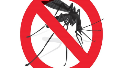 disinfestazione-zanzare-640x480