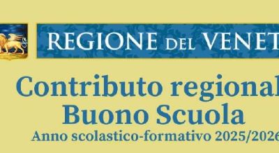 banner buono scuola disabili