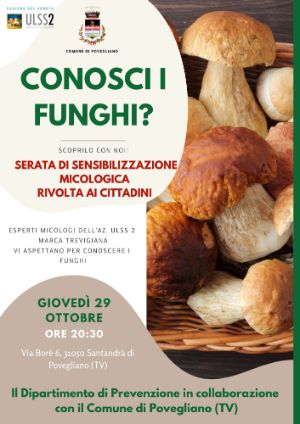Povegliano locandina